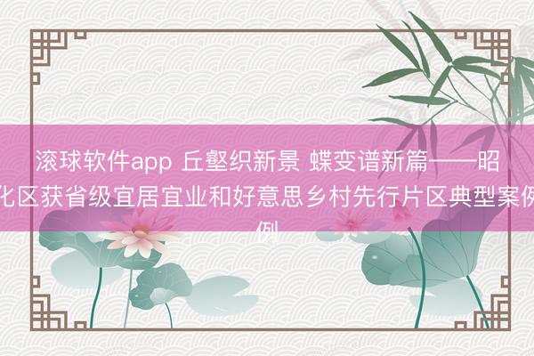 滚球软件app 丘壑织新景 蝶变谱新篇——昭化区获省级宜居宜业和好意思乡村先行片区典型案例