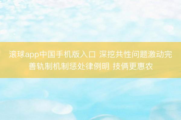 滚球app中国手机版入口 深挖共性问题激动完善轨制机制惩处律例明 技俩更惠农