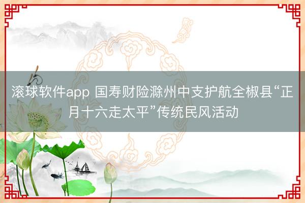 滚球软件app 国寿财险滁州中支护航全椒县“正月十六走太平”传统民风活动