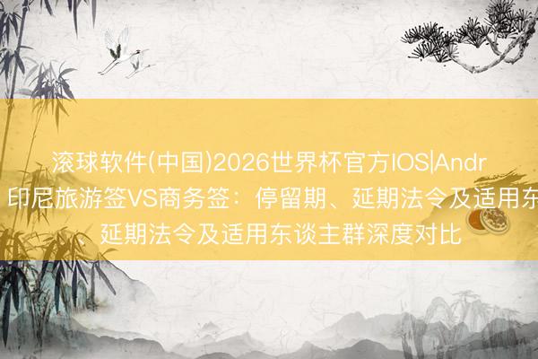 滚球软件(中国)2026世界杯官方IOS|Android手机app下载 印尼旅游签VS商务签：停留期、延期法令及适用东谈主群深度对比