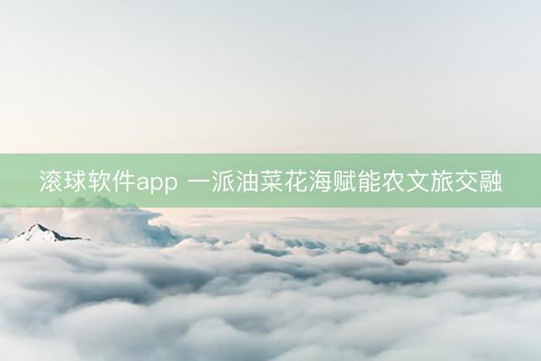 滚球软件app 一派油菜花海赋能农文旅交融