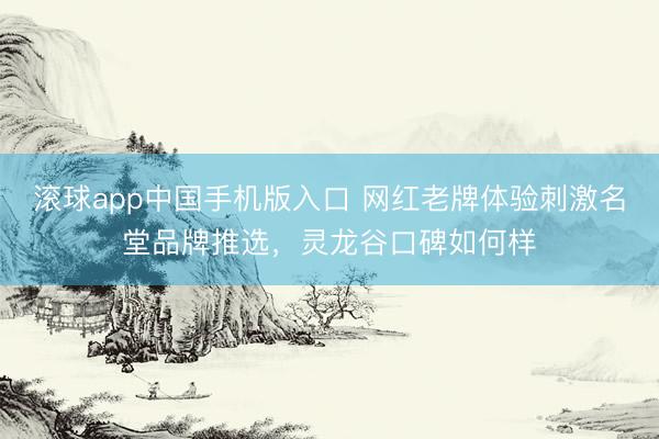 滚球app中国手机版入口 网红老牌体验刺激名堂品牌推选,灵龙谷口碑如何样