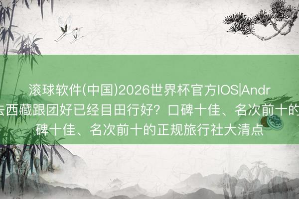 滚球软件(中国)2026世界杯官方IOS|Android手机app下载 去西藏跟团好已经目田行好？口碑十佳、名次前十的正规旅行社大清点
