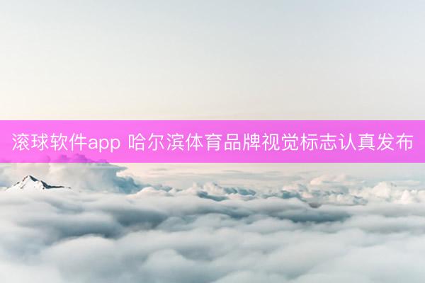 滚球软件app 哈尔滨体育品牌视觉标志认真发布