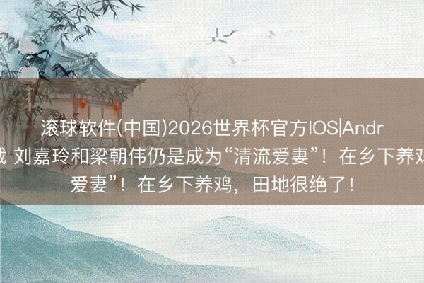 滚球软件(中国)2026世界杯官方IOS|Android手机app下载 刘嘉玲和梁朝伟仍是成为“清流爱妻”!在乡下养鸡,田地很绝了!