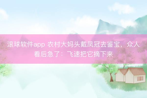 滚球软件app 农村大妈头戴凤冠去鉴宝，众人看后急了：飞速把它摘下来