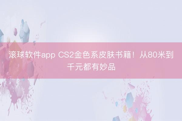 滚球软件app CS2金色系皮肤书籍！从80米到千元都有妙品