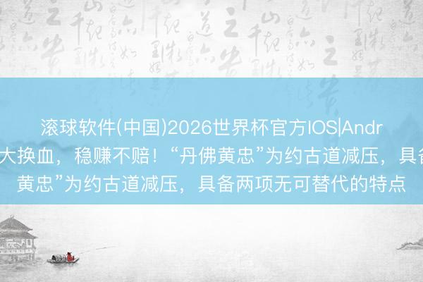 滚球软件(中国)2026世界杯官方IOS|Android手机app下载 掘金大换血，稳赚不赔！“丹佛黄忠”为约古道减压，具备两项无可替代的特点