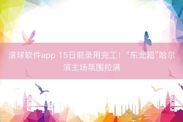 滚球软件app 15日前录用完工！“东北超”哈尔滨主场氛围拉满