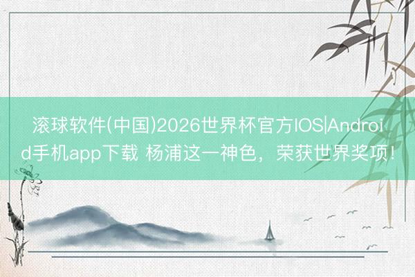 滚球软件(中国)2026世界杯官方IOS|Android手机app下载 杨浦这一神色，荣获世界奖项！