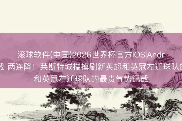 滚球软件(中国)2026世界杯官方IOS|Android手机app下载 两连降！莱斯特城揣摸刷新英超和英冠左迁球队的最贵气势记载