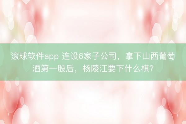 滚球软件app 连设6家子公司，拿下山西葡萄酒第一股后，杨陵江要下什么棋？