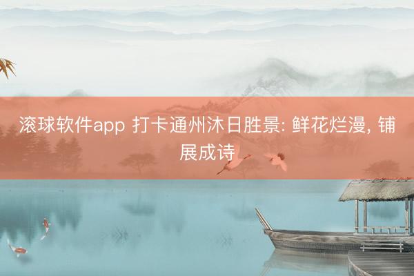 滚球软件app 打卡通州沐日胜景: 鲜花烂漫， 铺展成诗