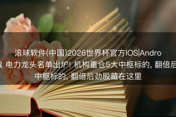 滚球软件(中国)2026世界杯官方IOS|Android手机app下载 电力龙头名单出炉! 机构重仓5大中枢标的, 翻倍后劲股藏在这里