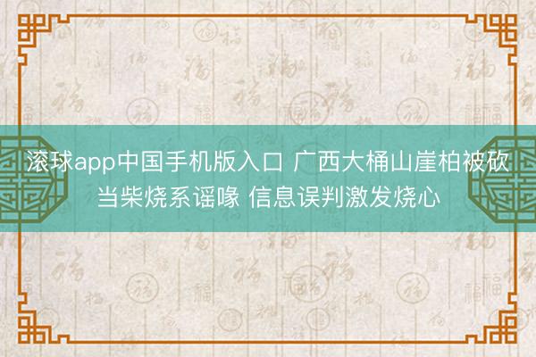 滚球app中国手机版入口 广西大桶山崖柏被砍当柴烧系谣喙 信息误判激发烧心