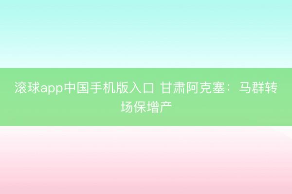 滚球app中国手机版入口 甘肃阿克塞：马群转场保增产