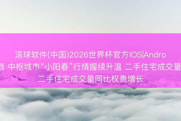 滚球软件(中国)2026世界杯官方IOS|Android手机app下载 中枢城市“小阳春”行情握续升温 二手住宅成交量同比权贵增长