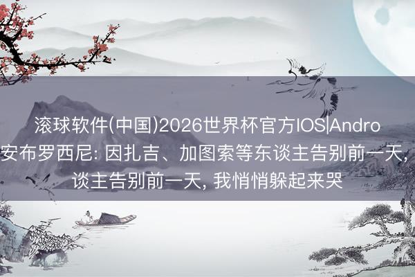 滚球软件(中国)2026世界杯官方IOS|Android手机app下载 安布罗西尼: 因扎吉、加图索等东谈主告别前一天， 我悄悄躲起来哭