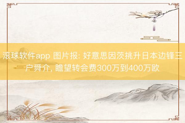滚球软件app 图片报: 好意思因茨挑升日本边锋三户舜介， 瞻望转会费300万到400万欧