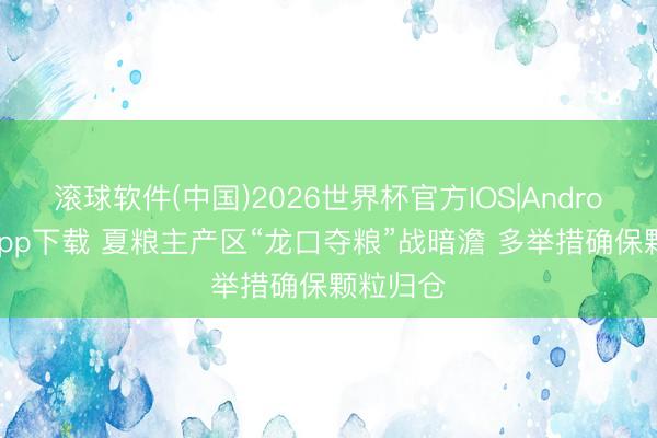 滚球软件(中国)2026世界杯官方IOS|Android手机app下载 夏粮主产区“龙口夺粮”战暗澹 多举措确保颗粒归仓