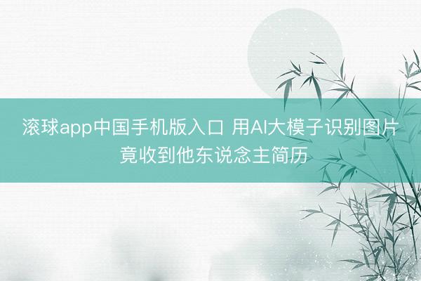 滚球app中国手机版入口 用AI大模子识别图片 竟收到他东说念主简历