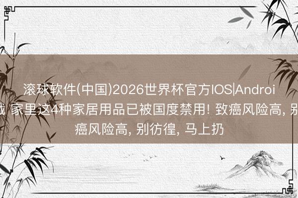 滚球软件(中国)2026世界杯官方IOS|Android手机app下载 家里这4种家居用品已被国度禁用! 致癌风险高， 别彷徨， 马上扔