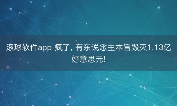 滚球软件app 疯了， 有东说念主本旨毁灭1.13亿好意思元!