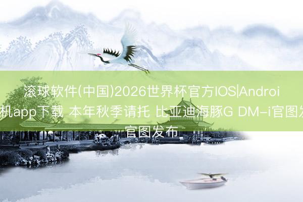 滚球软件(中国)2026世界杯官方IOS|Android手机app下载 本年秋季请托 比亚迪海豚G DM-i官图发布