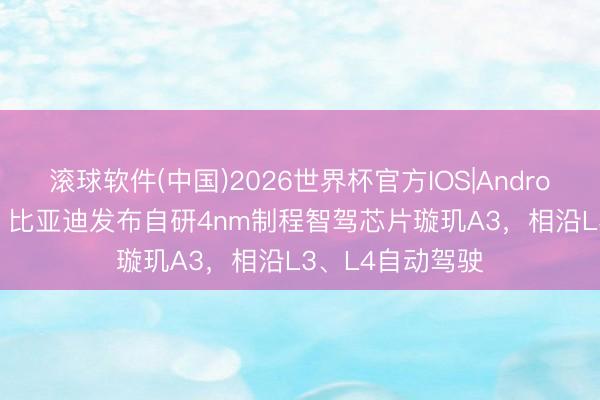 滚球软件(中国)2026世界杯官方IOS|Android手机app下载 比亚迪发布自研4nm制程智驾芯片璇玑A3，相沿L3、L4自动驾驶
