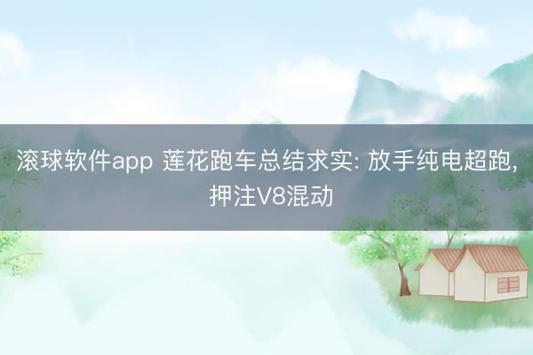 滚球软件app 莲花跑车总结求实: 放手纯电超跑， 押注V8混动