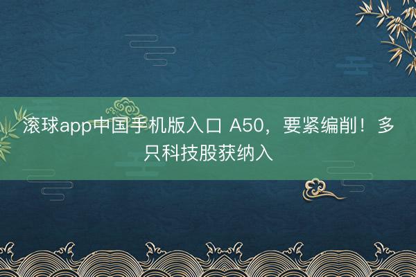 滚球app中国手机版入口 A50，要紧编削！多只科技股获纳入