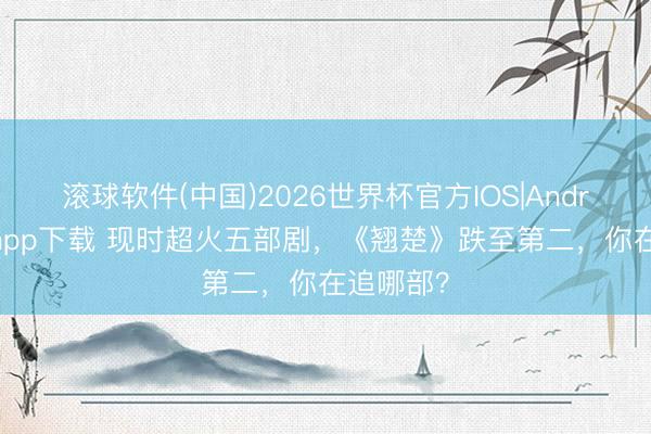 滚球软件(中国)2026世界杯官方IOS|Android手机app下载 现时超火五部剧，《翘楚》跌至第二，你在追哪部？