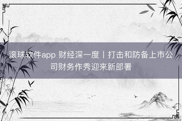 滚球软件app 财经深一度丨打击和防备上市公司财务作秀迎来新部署