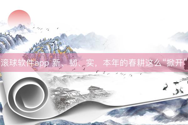 滚球软件app 新、韧、实,本年的春耕这么“掀开”
