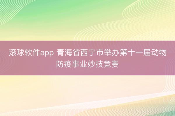 滚球软件app 青海省西宁市举办第十一届动物防疫事业妙技竞赛