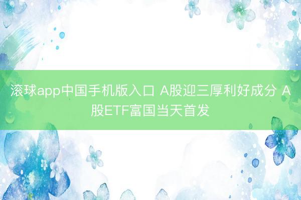 滚球app中国手机版入口 A股迎三厚利好成分 A股ETF富国当天首发