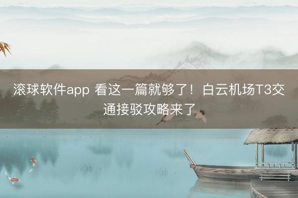 滚球软件app 看这一篇就够了!白云机场T3交通接驳攻略来了