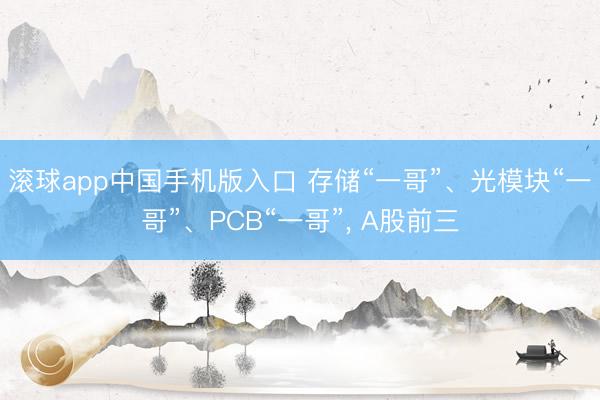 滚球app中国手机版入口 存储“一哥”、光模块“一哥”、PCB“一哥”， A股前三