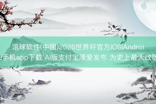 滚球软件(中国)2026世界杯官方IOS|Android手机app下载 AI版支付宝厚爱发布 为史上最大改版