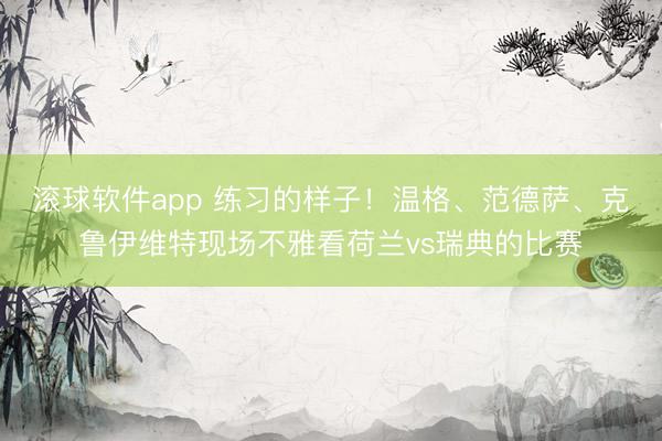 滚球软件app 练习的样子!温格、范德萨、克鲁伊维特现场不雅看荷兰vs瑞典的比赛