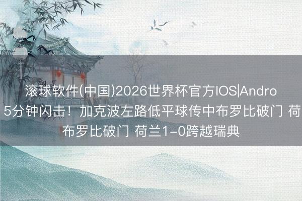 滚球软件(中国)2026世界杯官方IOS|Android手机app下载 5分钟闪击!加克波左路低平球传中布罗比破门 荷兰1-0跨越瑞典